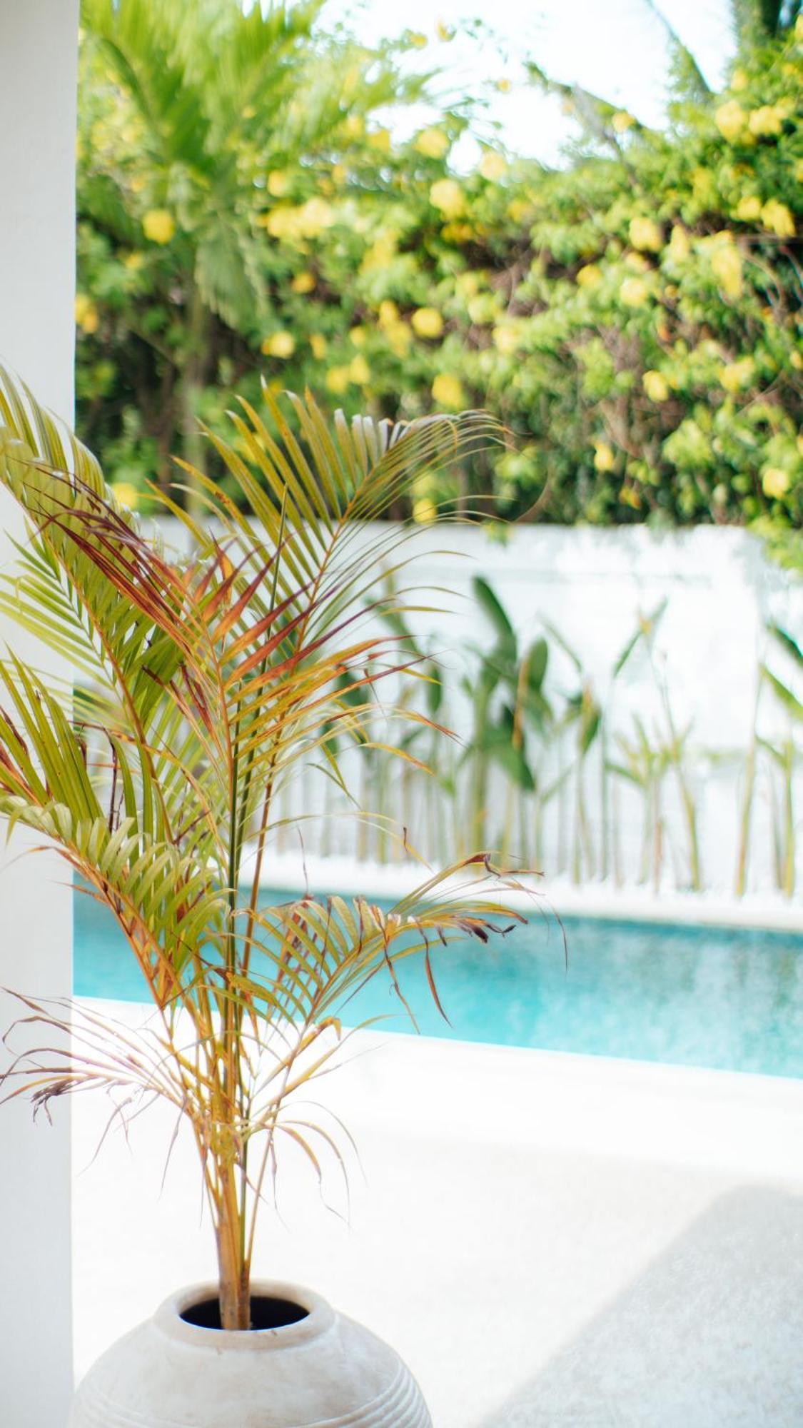 The White Bay Lombok Apartment Kuta  Exterior foto